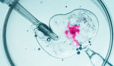 Cancer-linked gene from Danish sperm donor found in four children in Greece