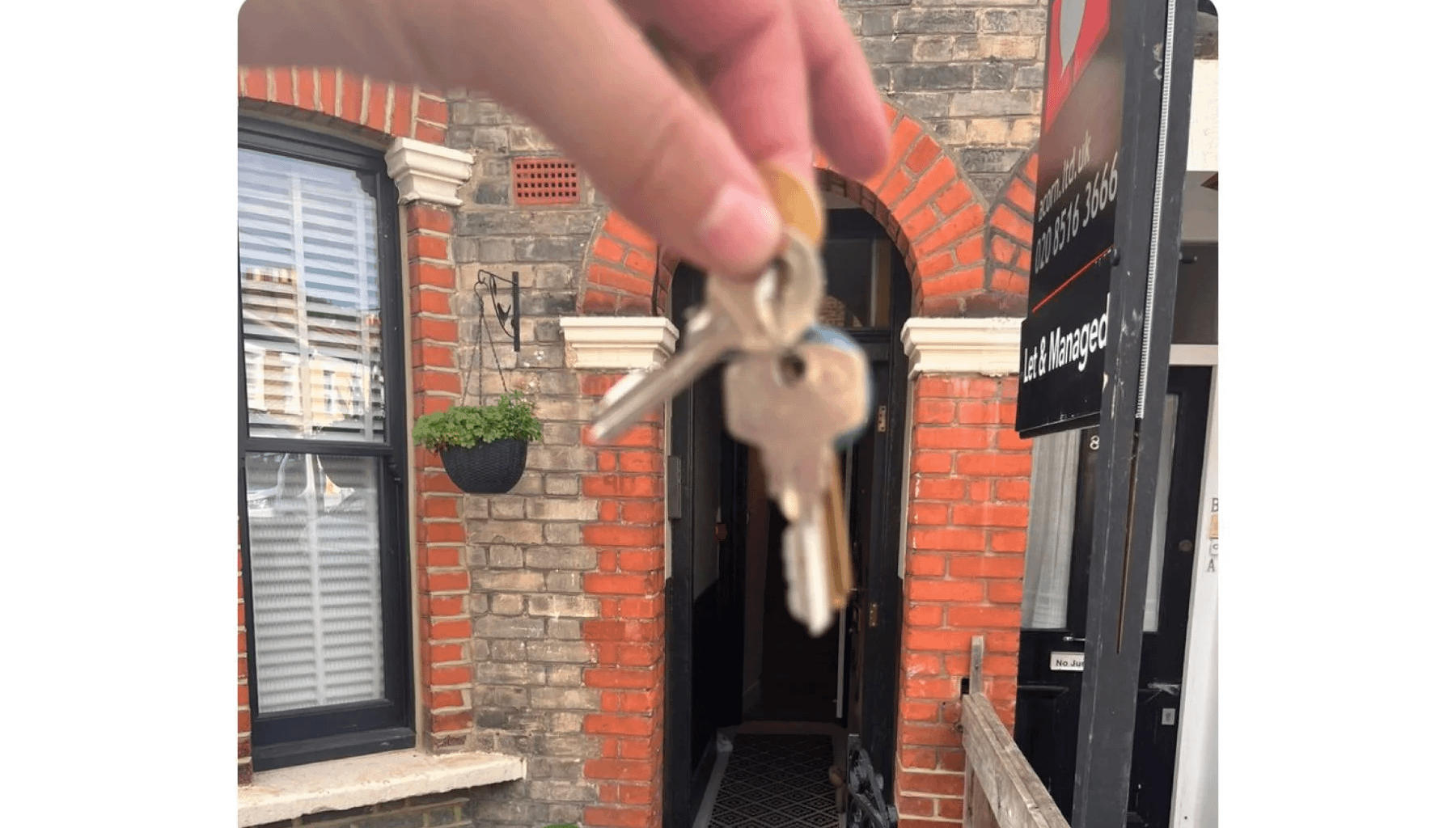 Living the dream mate