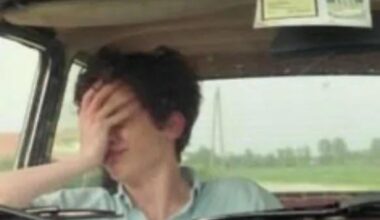 »And everyone is more attractive