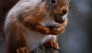 Absolutely nobody is getting that nut!!! 🏴󠁧󠁢󠁳󠁣󠁴󠁿