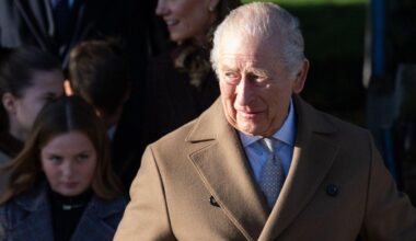 New Years Honours List 2026 in full: Every person who received recognition from King Charles, including Idris Elba, Ellie Goulding, and the Wales’ nanny Maria Teresa Turrion Borrallo