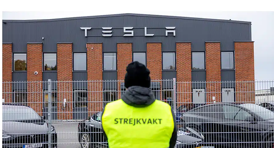 Tesla Sweden Year-to-Date Sales Fall to One-Third of 2024 Levels