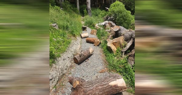 Vandals target Wellington MTB trails with planks, logs