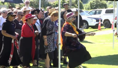 Where to now for Te Pāti Māori?