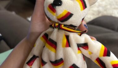 German beanie baby and painting of the flag