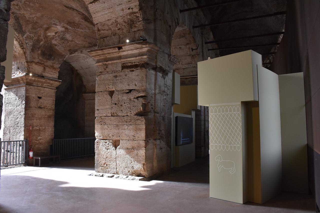 The exhibition titled "Gobeklitepe: The Mystery of a Sacred Place" has opened for visitors at the world-famous Colosseum in Rome, Italy, Oct. 24, 2024. (AA Photo)