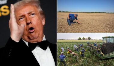Trump admin: Roundtable discussion, aid to farmers hit by trade war, more