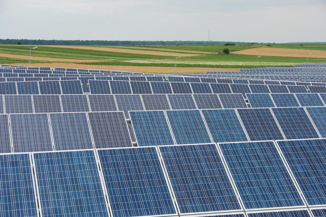 Rows of solar panels at a large photovoltaic installation. (Adobe Stock Photo)
