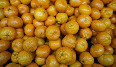 A view of mandarins being sorted and packaged by size to meet orders for overseas shipment at a facility in the Seferihisar district of Izmir, Türkiye, Dec. 16, 2025. (AA Photo)