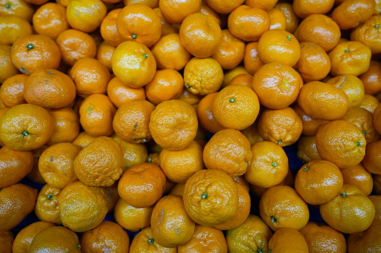 A view of mandarins being sorted and packaged by size to meet orders for overseas shipment at a facility in the Seferihisar district of Izmir, Türkiye, Dec. 16, 2025. (AA Photo)