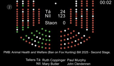 Fox Hunting Ban Dáil Bill Defeated by 123 - 24 Votes