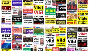 Vildt ringe "journalistik"
