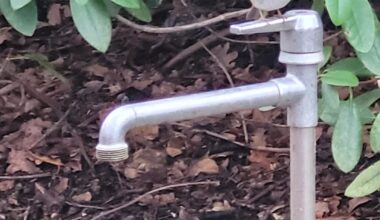 Rotkehlchen und Eichhörnchen