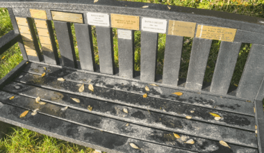 I think this bench might be a serial killer!