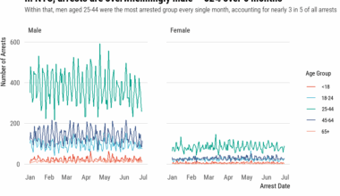 In NYC, arrests are overwhelmingly male—82% over 6 months [OC]