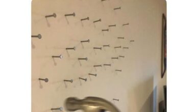 Aspire to this level of pettiness