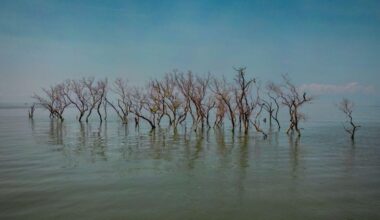 New data raises questions about how much the Earth has warmed