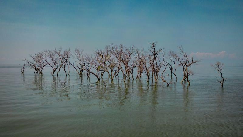 New data raises questions about how much the Earth has warmed