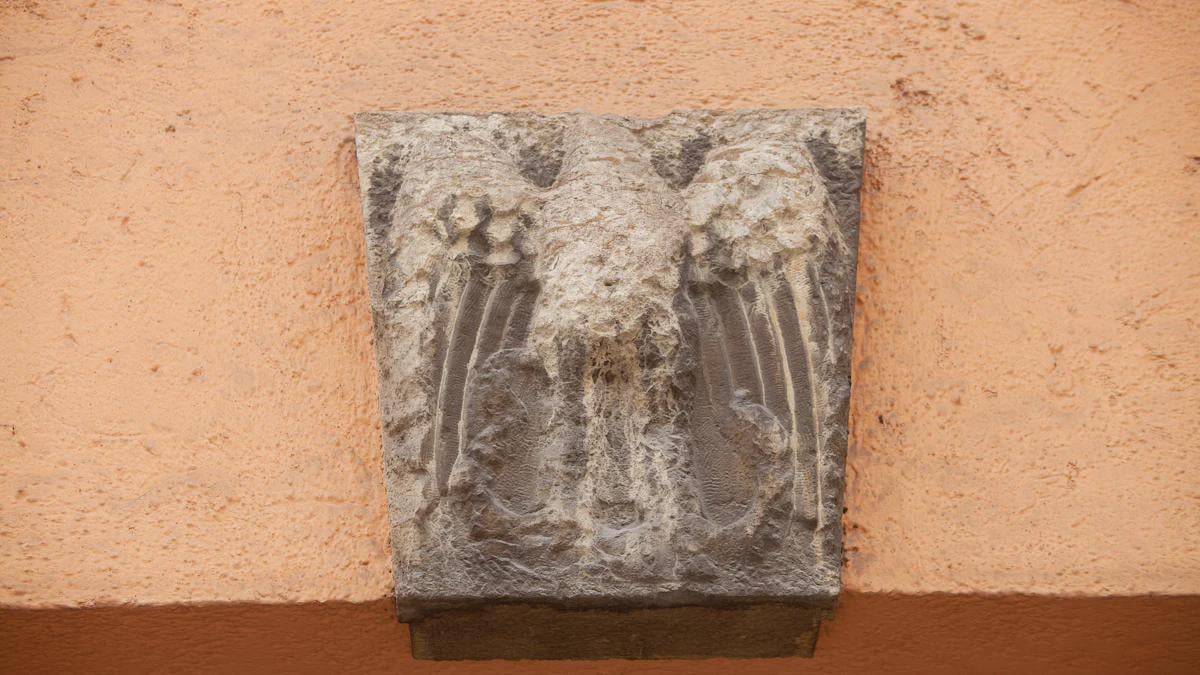 München: Gewaltbereite Neonazis marschieren in der Schellingstraße auf