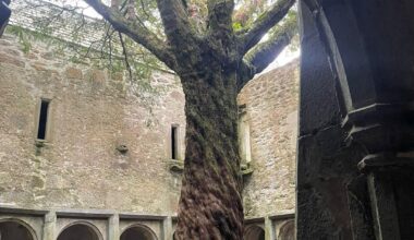 Muckross Abbey, Killarney.