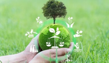 China Bets Big on New Energy