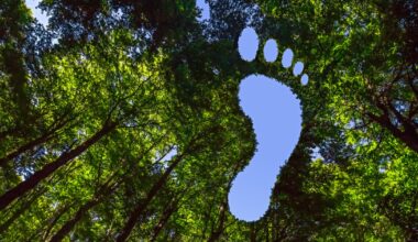 Do Buyers of US LNG Care More About Cost Than Climate?