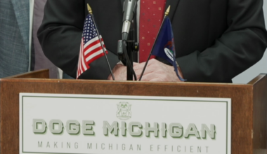 Michigan Republicans create DOGE task force