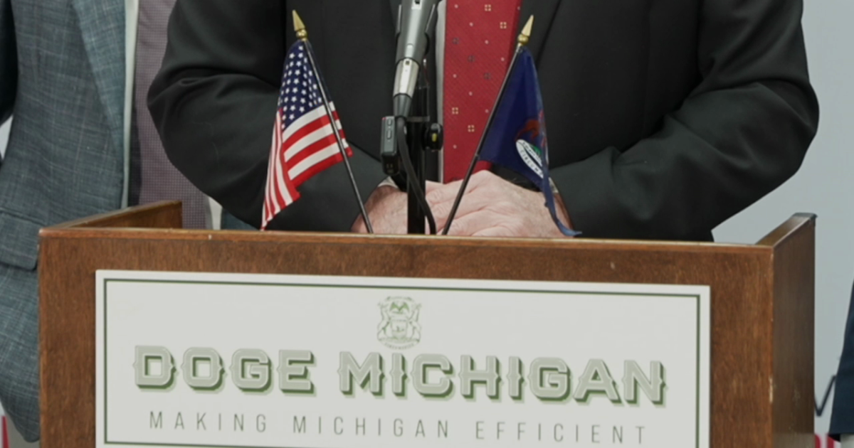 Michigan Republicans create DOGE task force