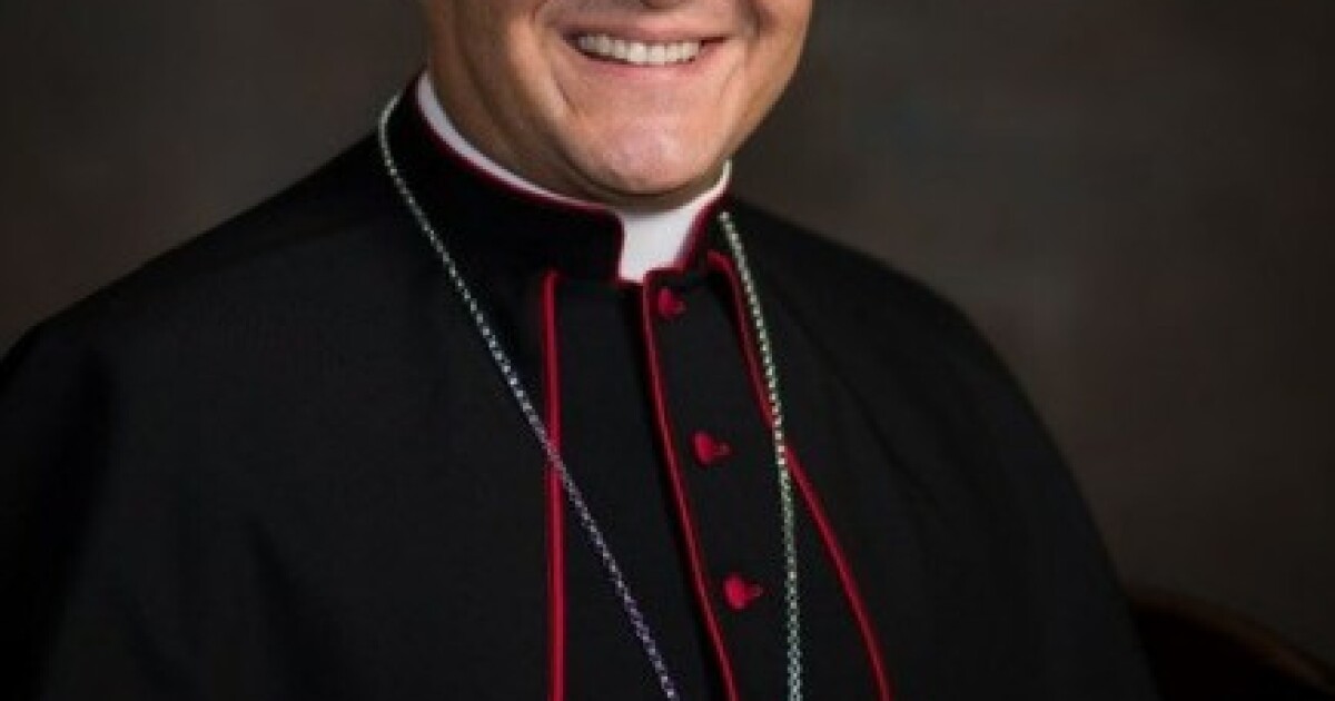 Pope Leo XIV appoints Bishop Mario Alberto Aviles to lead Diocese of C.C.