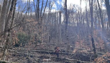 Environmental advocates and residents continue to confront Forest Service about Helene recovery concerns