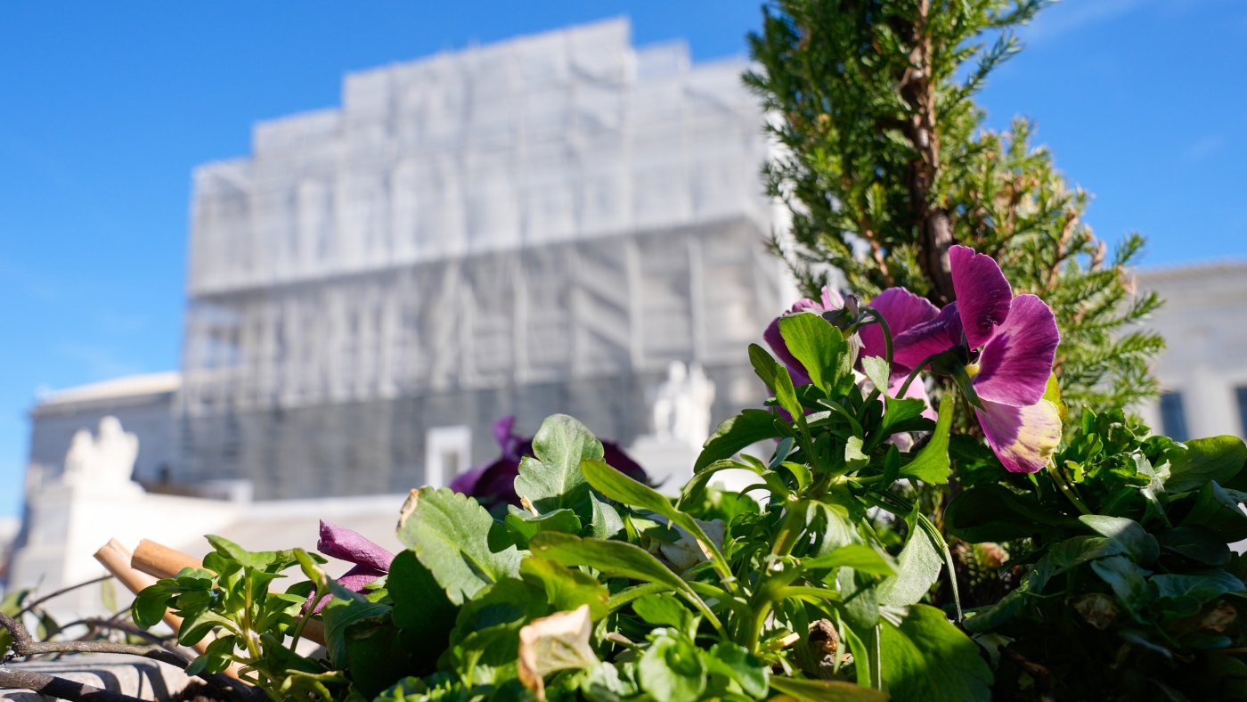 Abortion opponents coming before the Supreme Court : NPR