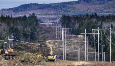 Environmental groups challenge CMP power line conservation plan