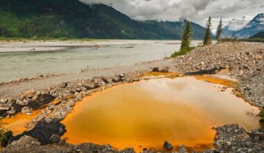 Ten years after Alaska-B.C. mining agreement, environmental group says state is falling short