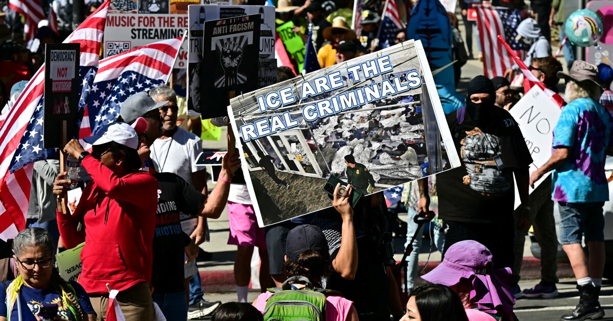 No Kings protesters demonstrate against Trump administration