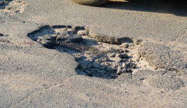 Algae replaces petroleum in greener, longer-lasting asphalt