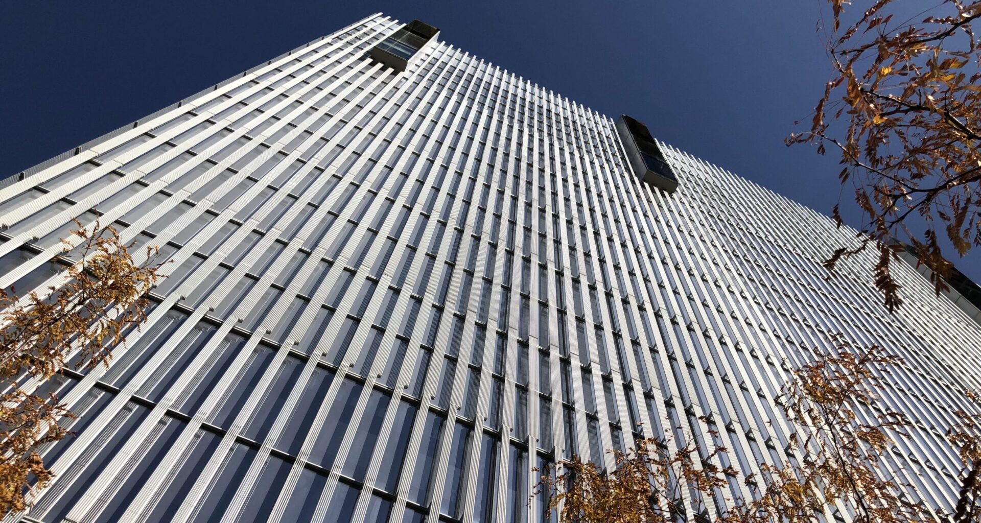 Honduran West Jordan resident indicted on immigration, drug charges after 21K fentanyl pills seized