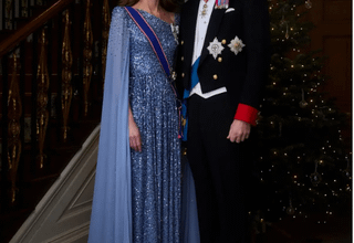 More pics of Catherine, Princess of Wales at German state banquet