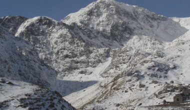 Lazy Sunday (28/12/25)