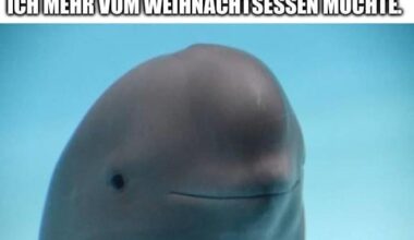 ich🍝iel