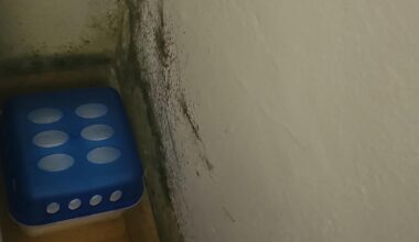 Help!! I dont know what else to do.