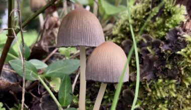 Otoño en Galicia 😍