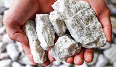Lithium deposit valued at $1.5 trillion has been discovered in the US. McDermitt Caldera in Oregon could contain between 20 and 40 million metric tons of lithium. If extraction methods prove efficient, the US could rank among the top global suppliers of this metal.