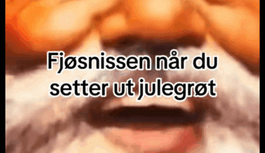 What does this meme mean