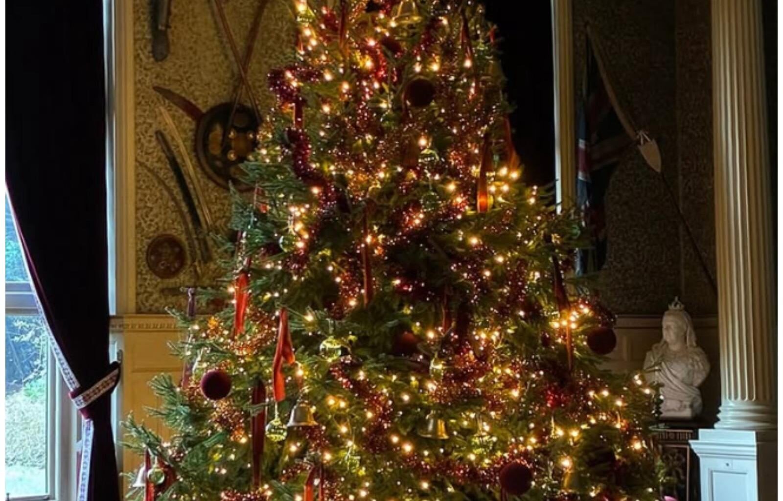 The Christmas tree at Sandringham Estate