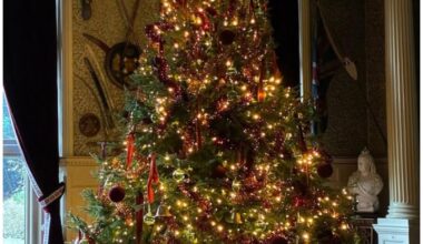 The Christmas tree at Sandringham Estate