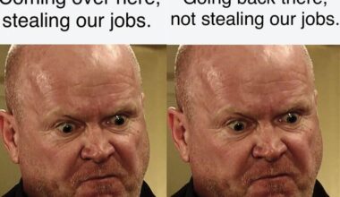 20 years in the making