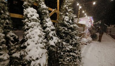 Ντοκιμαντέρ για πέντε οικογένειες εμπόρων χριστουγεννιάτικων δέντρων στη Νέα Υόρκη