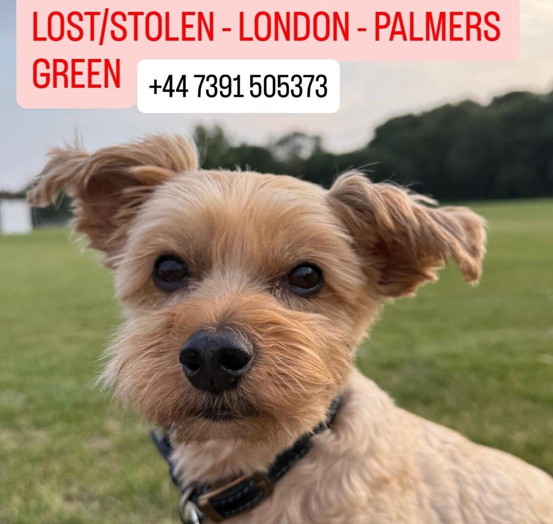 Our boy is still missing, please help us.