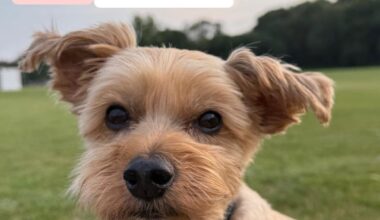 Our boy is still missing, please help us.