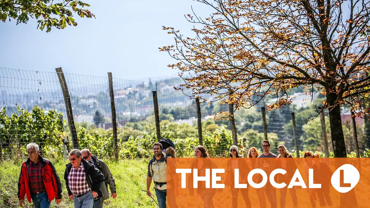 A seasonal guide to the best festivals and events in 2026